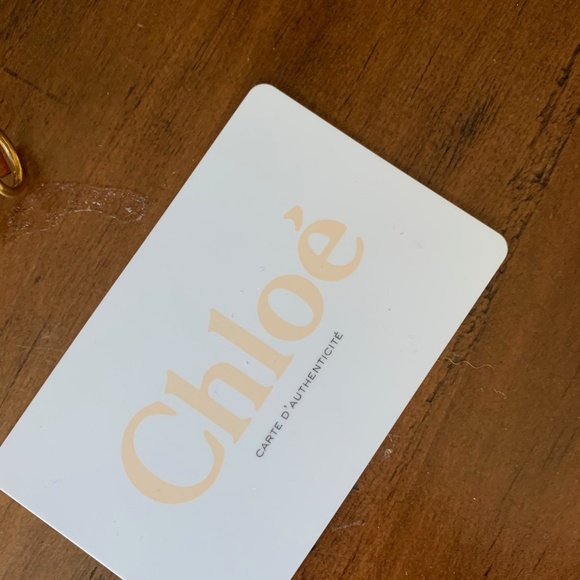 Chloe Myer Leather and Suede Convertible Tote Bag - Picture 3 of 6